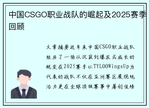 中国CSGO职业战队的崛起及2025赛季回顾